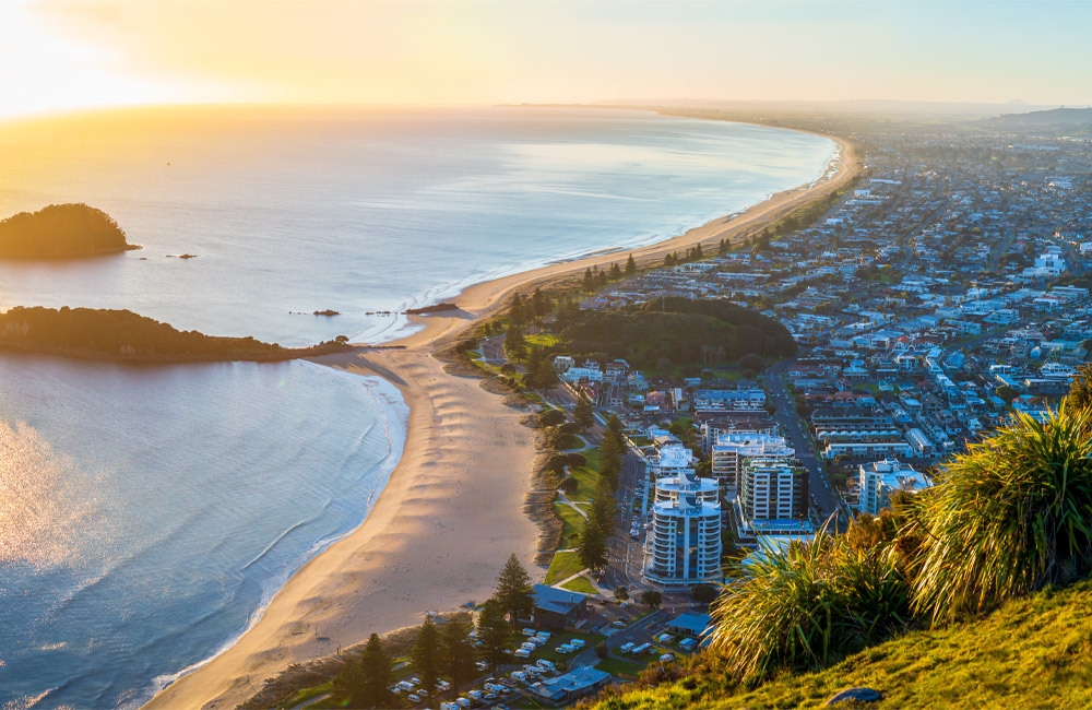 Cleaning Company Tauranga Locally Owned and Operated